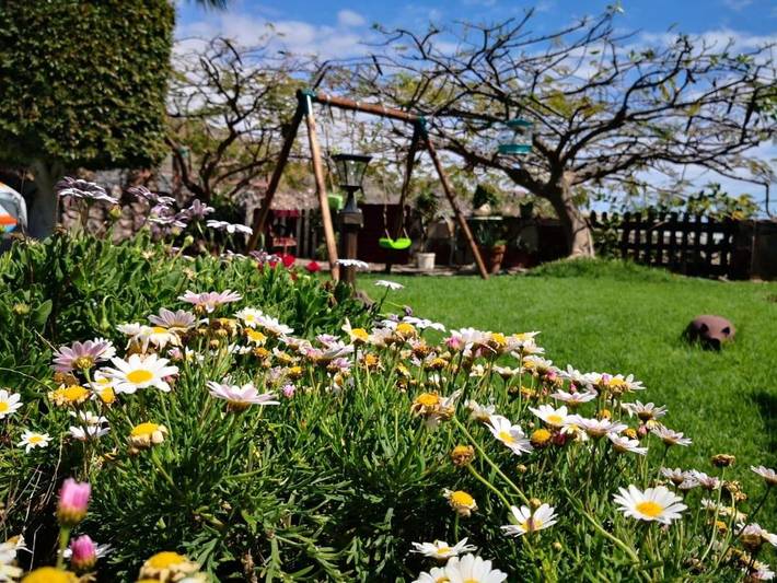 Ferienhaus für 10 Personen, mit Ausblick und Pool sowie Garten in Alcalá - 4