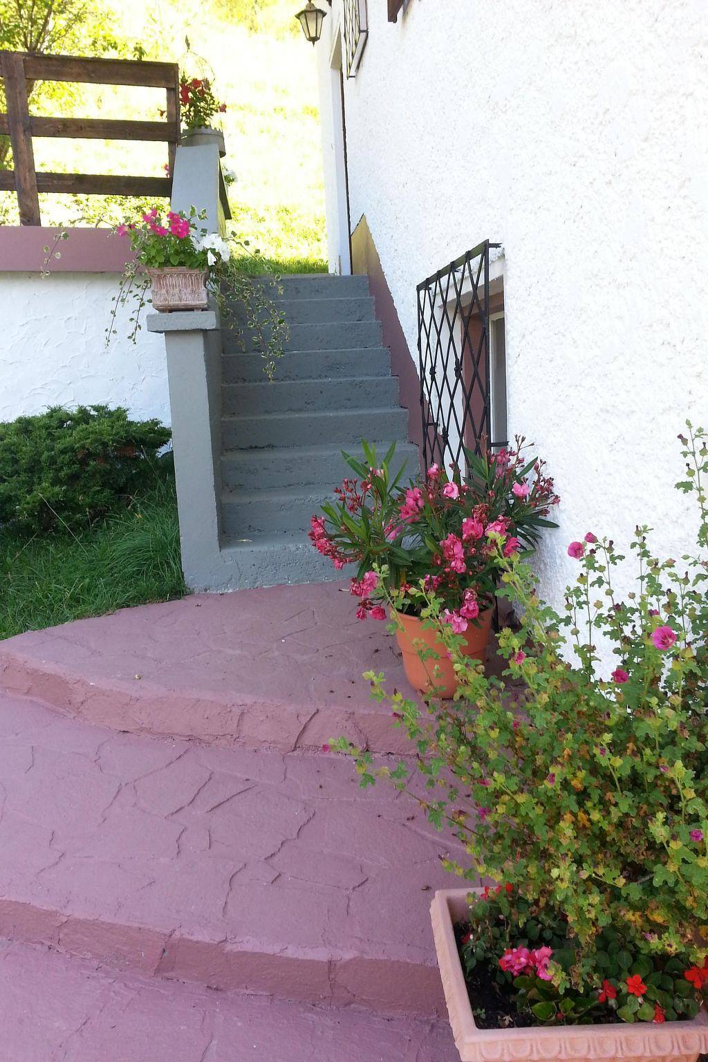 In ruhiger Lage am Waldrand in Tuxer Alpen, Navis