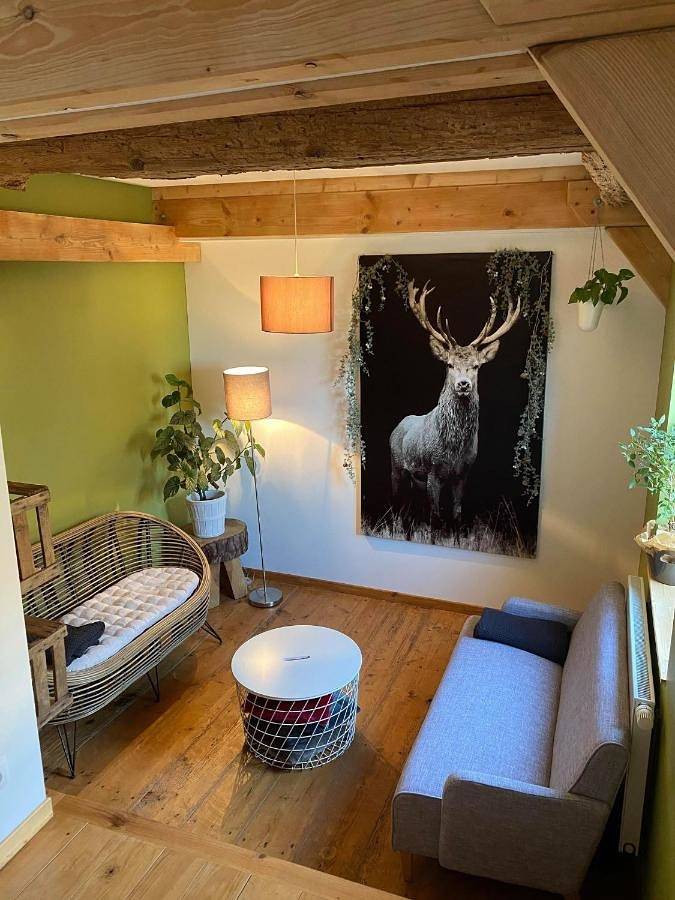 Appartement entier, Les Gîtes du Racème in Blienschwiller, Région de Sélestat-Erstein