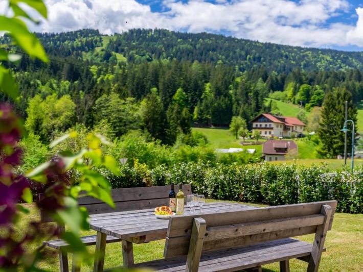 Ferienhaus für 10 Personen, mit Garten, mit Haustier in Kötschach-Mauthen - 3