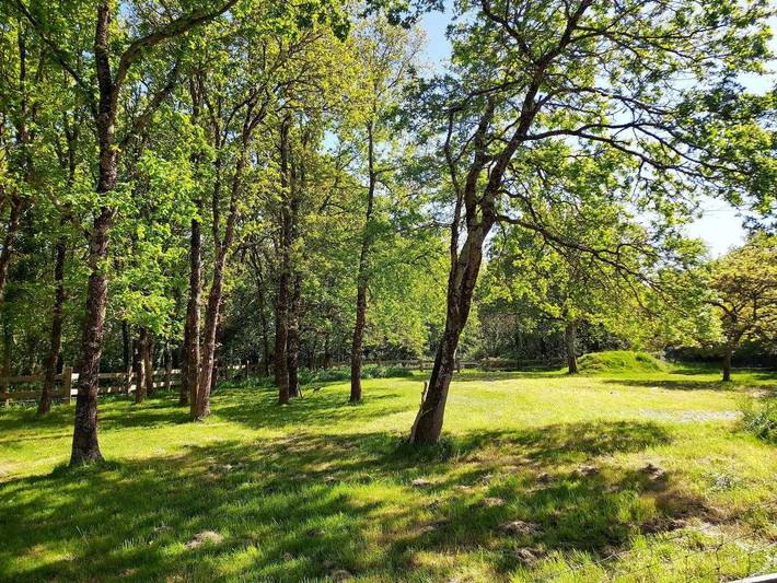 Gîte pour 6 personnes, avec jardin dans le Golfe du Morbihan - 3