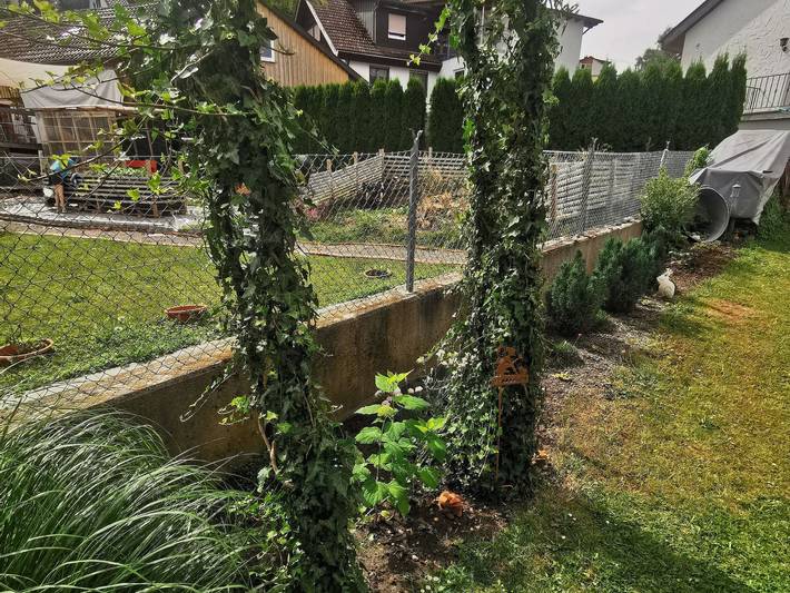 Ferienwohnung für 4 Personen, mit Garten in Deggenhausertal - 3