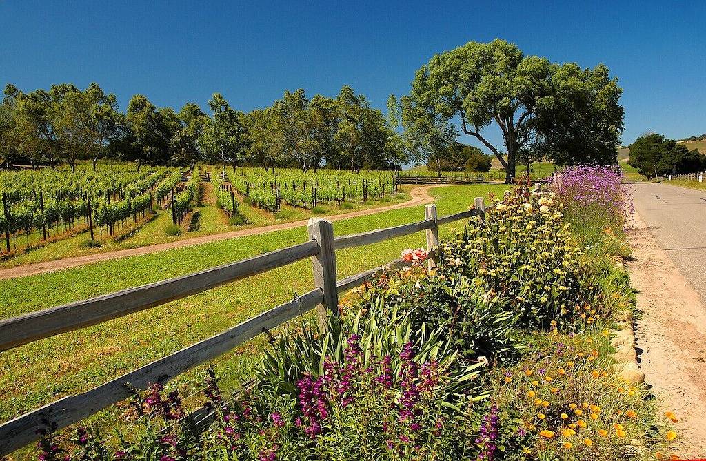 Seaside Cottage - Romantischer Zufluchtsort am Strand in Montecito, Santa Barbara County