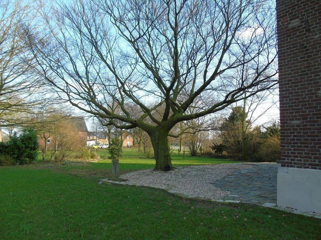 Three-Bedroom Holiday Home in Alpen (Nordrhein-Westfalen), Niederrhein
