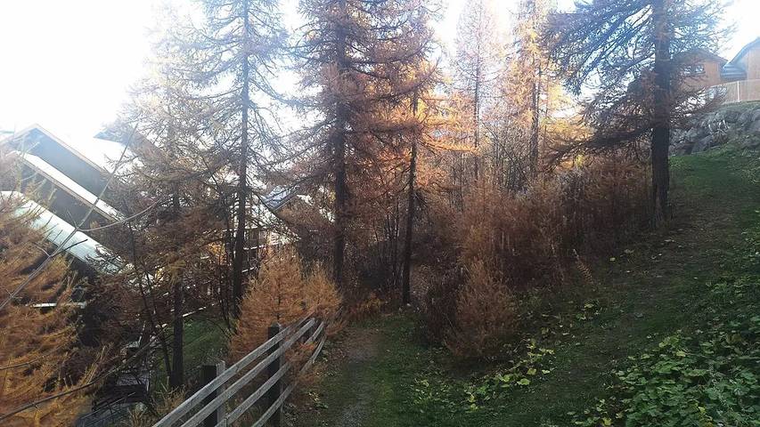 Appartement de vacances pour 4 personnes, avec vue