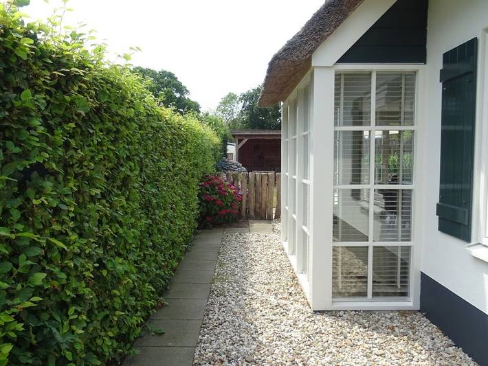 Ferienhaus für 6 Personen, mit Terrasse in Burgh-Haamstede - 4