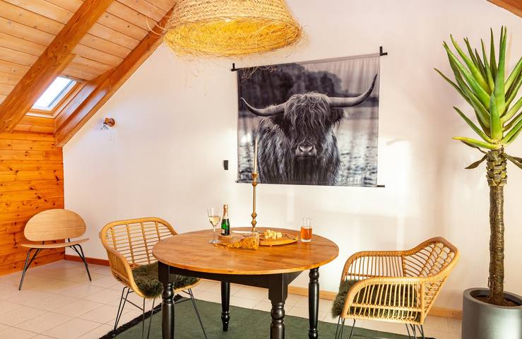 Ferienwohnung für 2 Personen, mit Seeblick und Balkon, mit Haustier auf Amrum - 4