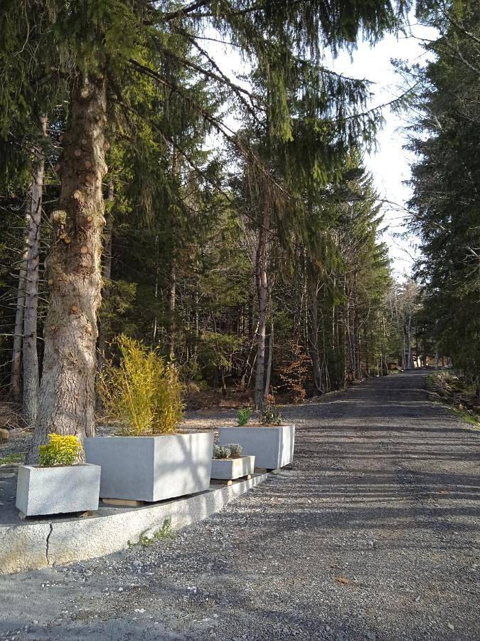 Gîte pour 4 personnes, avec vue et jardin, animaux acceptés à Champclause - 3