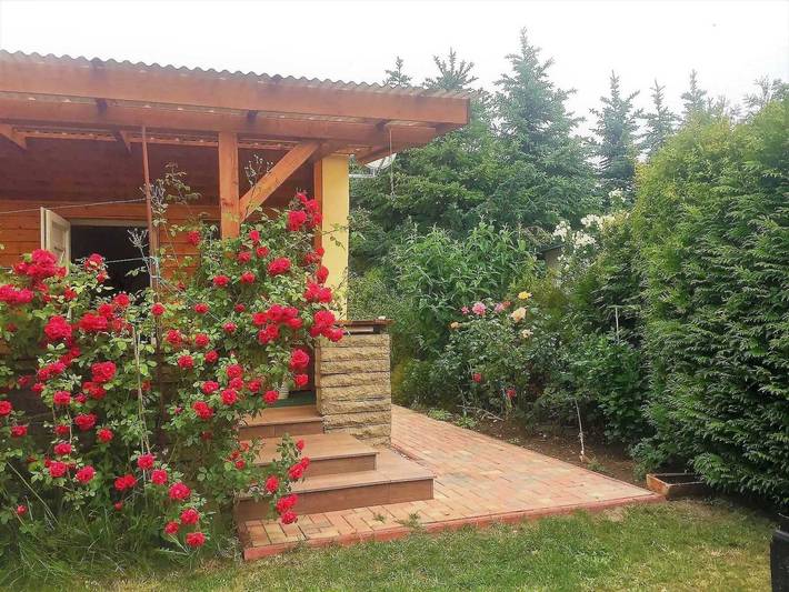 Ferienhaus für 3 Personen, mit Garten und Terrasse in Am Schwarzen Busch - 2