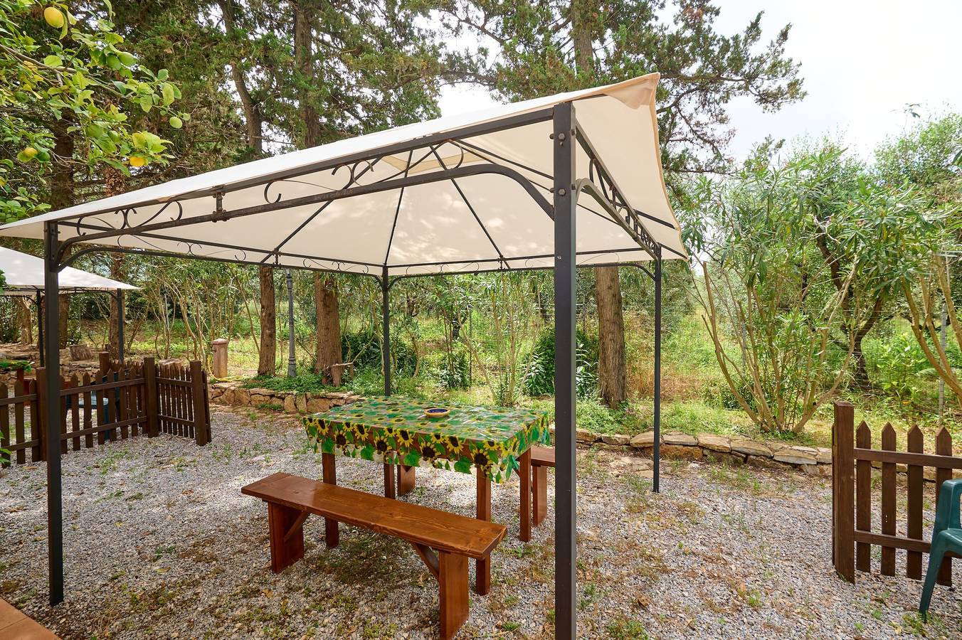 Agriturismo 'Antichi Palmenti - Corbezzolo' con giardino in comune e aria condizionata in San Vincenzo, Costa degli Etruschi