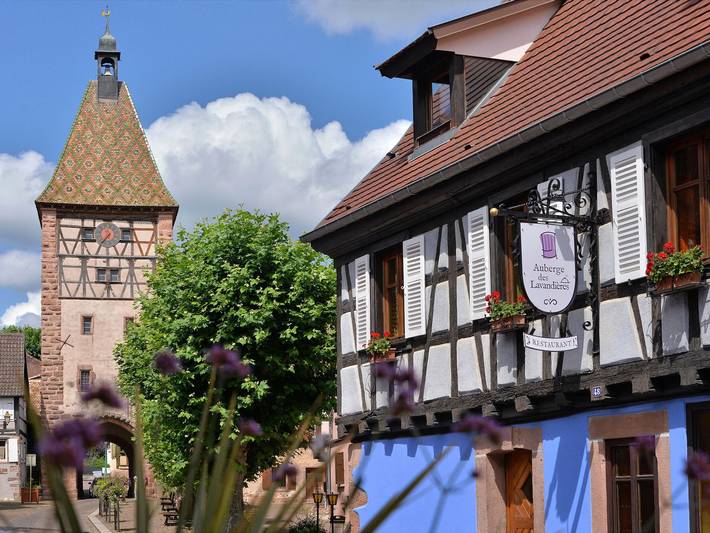 Vineyard Retreat: Cozy 2-Person Cottage with Terrace, Near Medieval Town, Alsace Wine Route in Bergheim (Alsace), Parc naturel régional des Ballons des Vosges