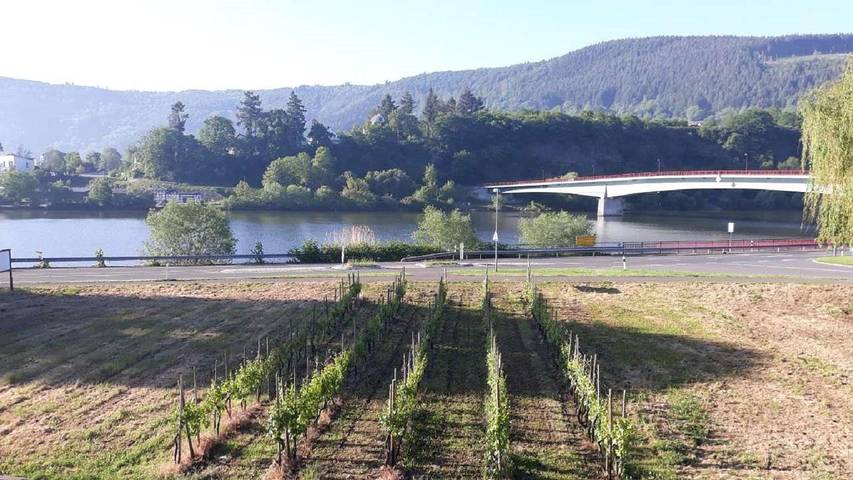 Ferienhaus für 4 Personen, mit Garten in Mosel-Saar - 3