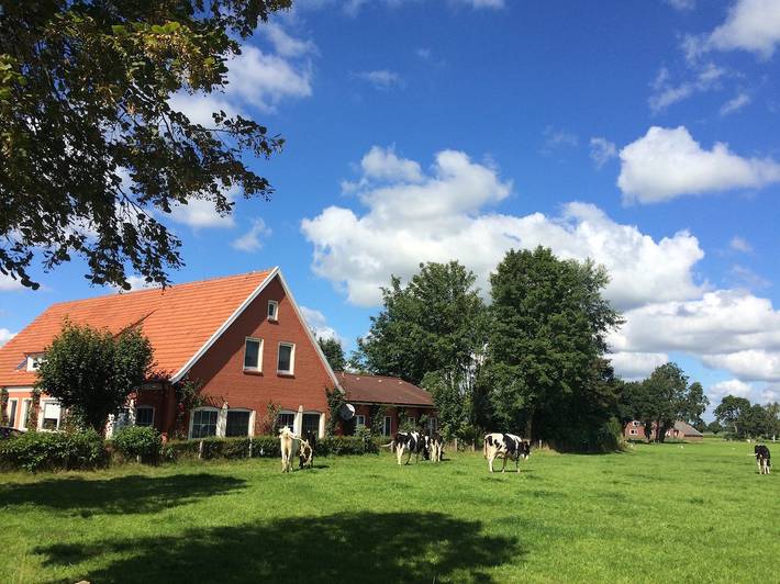 Ferienhaus für 10 Personen, mit Terrasse und Whirlpool sowie Garten und Sauna in Rhauderfehn