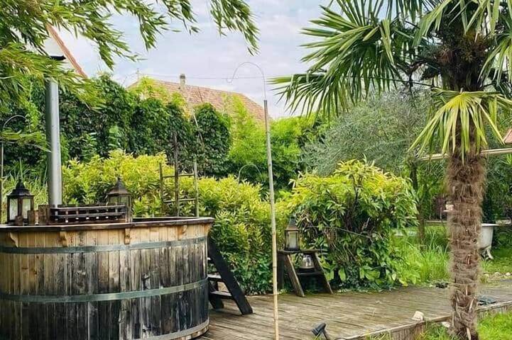 Location de vacances pour 8 personnes, avec piscine dans Algolsheim