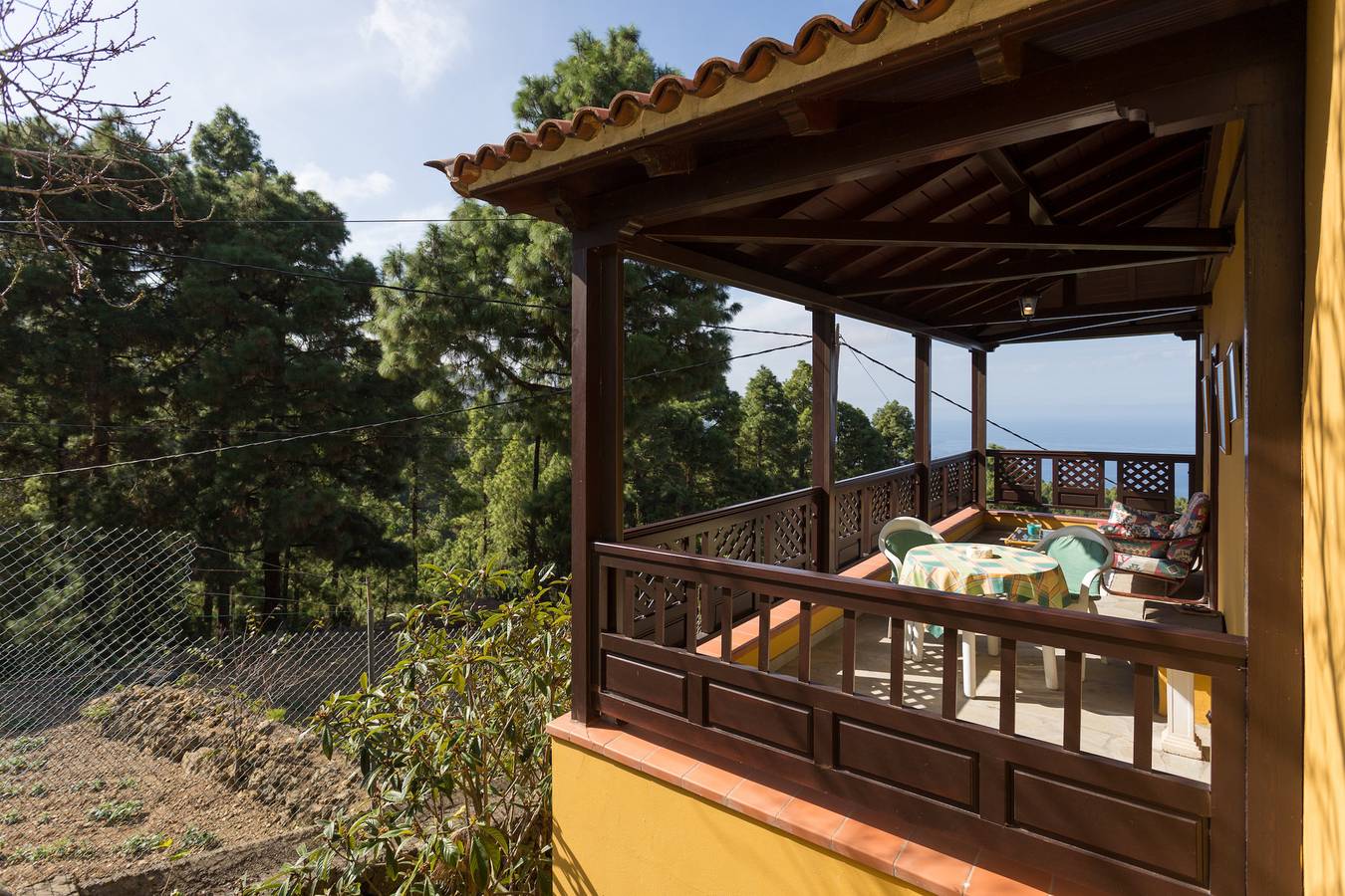 Finca con viñedo, vista mar y Teide, privacidad y Wifi fibra gratis in Icod de los Vinos, Tenerife Norte