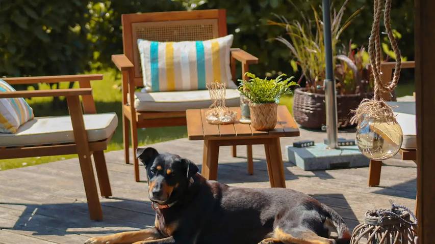 Ferienhaus für 5 Personen, mit Terrasse und Garten, mit Haustier in Halbinsel Holnis