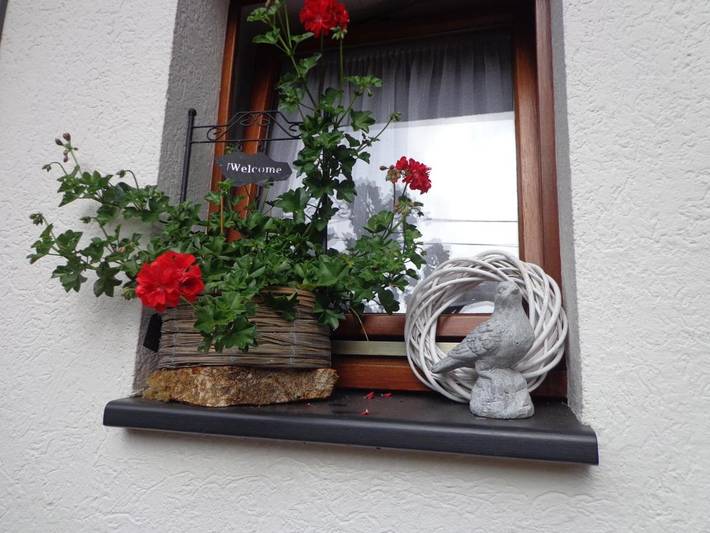 Chambre d’hôte pour 5 personnes, avec vue et jardin en Belgique - 4