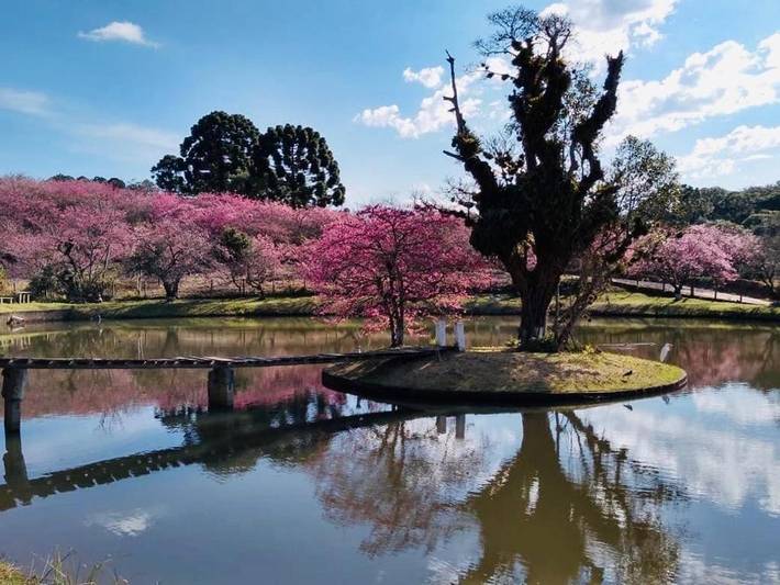 Casas e apartamentos de temporada para 4 pessoas em Piedade