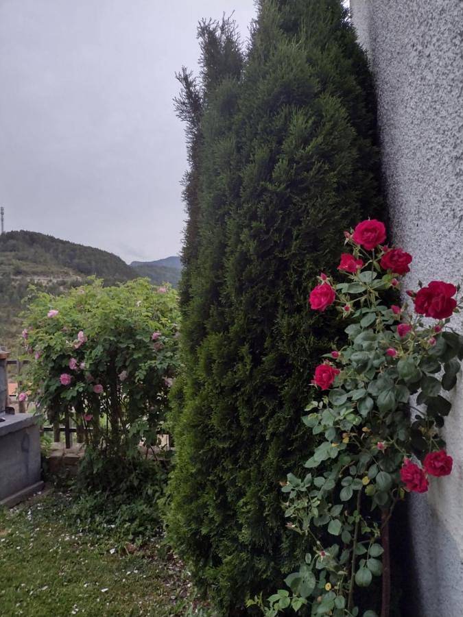 Ferienhaus für 10 Personen, mit Ausblick und Balkon - 1