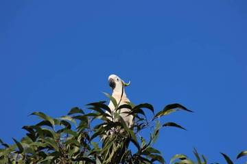 Villa for 5 People in Queensland, Australia, Photo 3