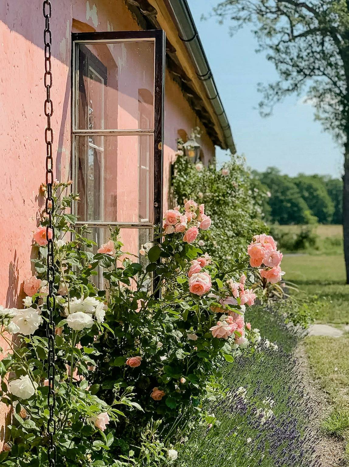 Kalkstenshus från 1700-talet i Hablingbo in Gotland