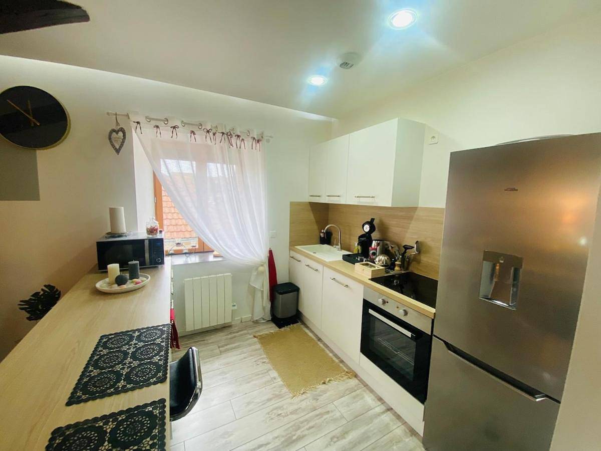 Appartement entier, One-Bedroom Apartment in Delle, Massif du Jura