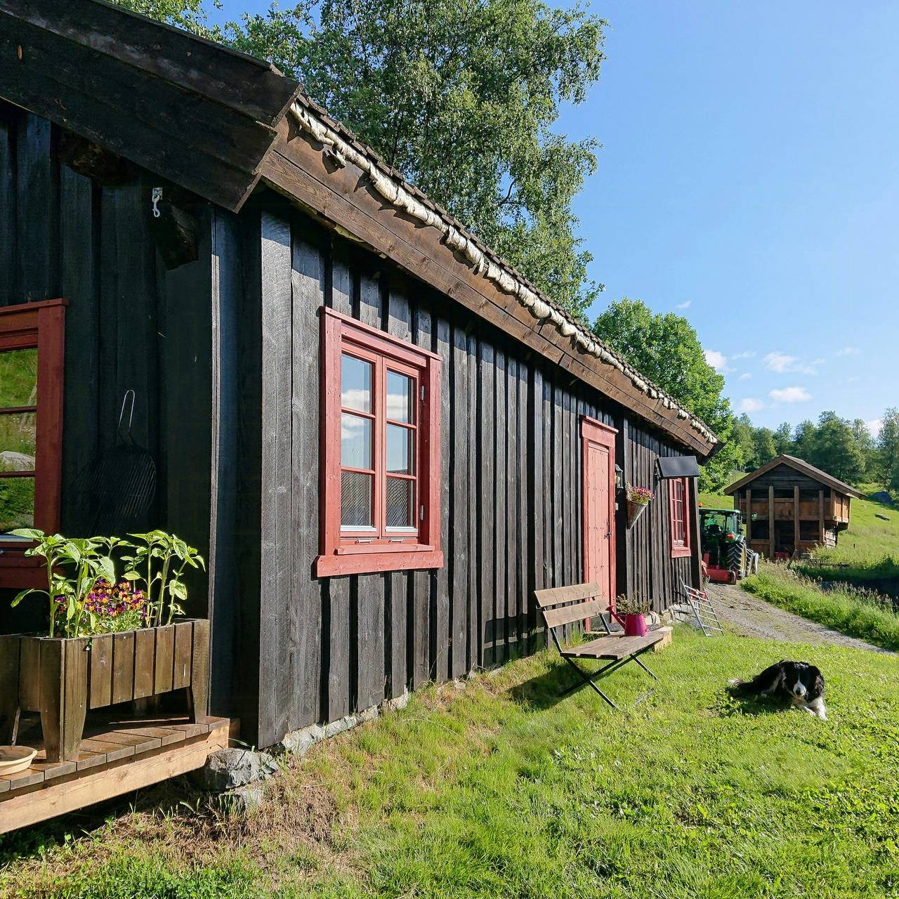 Restaurierte Hütte aus dem Jahr 1852 in der Region Bergsjø in Ål