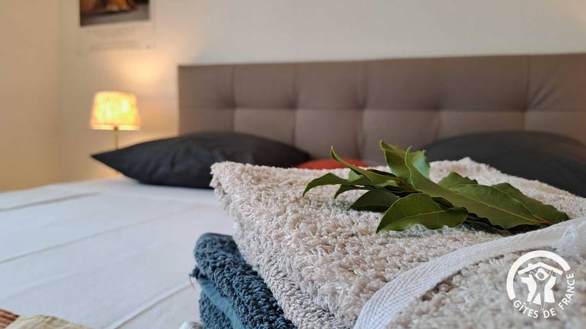 Gîte pour 2 personnes, avec terrasse à Albi - 3