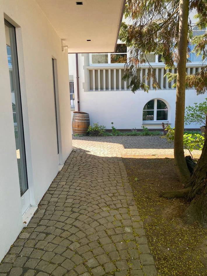 Ganze Ferienwohnung, Am See - Seeufer - Ferienwohnung, ca. 70 qm, 2 Zimmer, mit Garten und direktem Seezugang, max. 4 Personen in Friedrichshafen, Region Bodensee-Oberschwaben