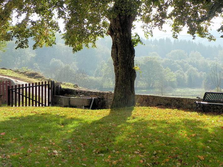 Gîte pour 9 personnes, avec jardin, animaux acceptés en Bourgogne-Franche-Comté - 3