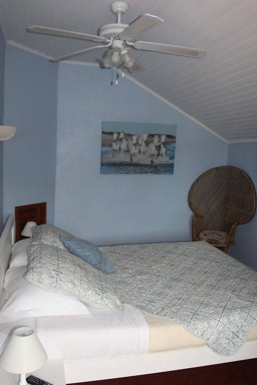 Chambre d’hôte pour 2 personnes, avec jacuzzi et jardin à Arles - 3