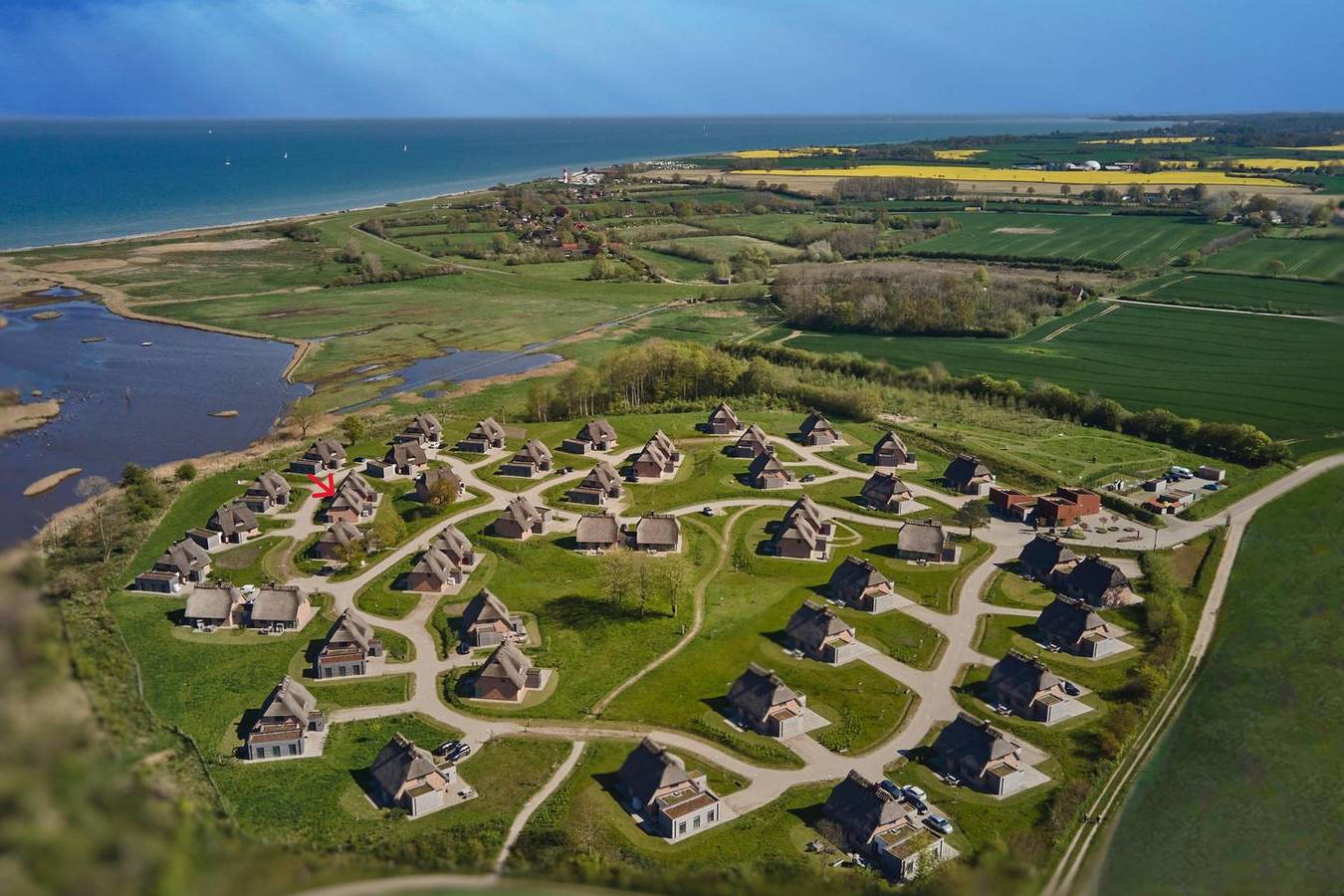 Malerhaus Seegras, das Reetdach Doppelhaus für 4-5 Personen mit schönem Birkblick. in Geltinger Birk, Nieby
