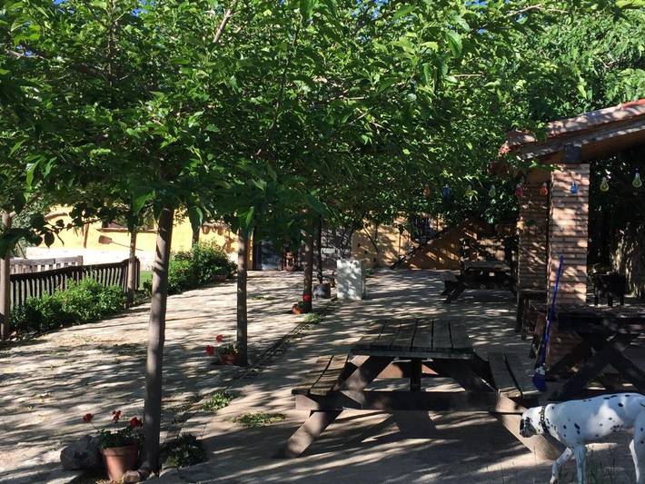 Casa rural con piscina para 4 personas, con piscina además de jacuzzi y jardín, Se admiten mascotas en Sierra de Alcaraz - 3