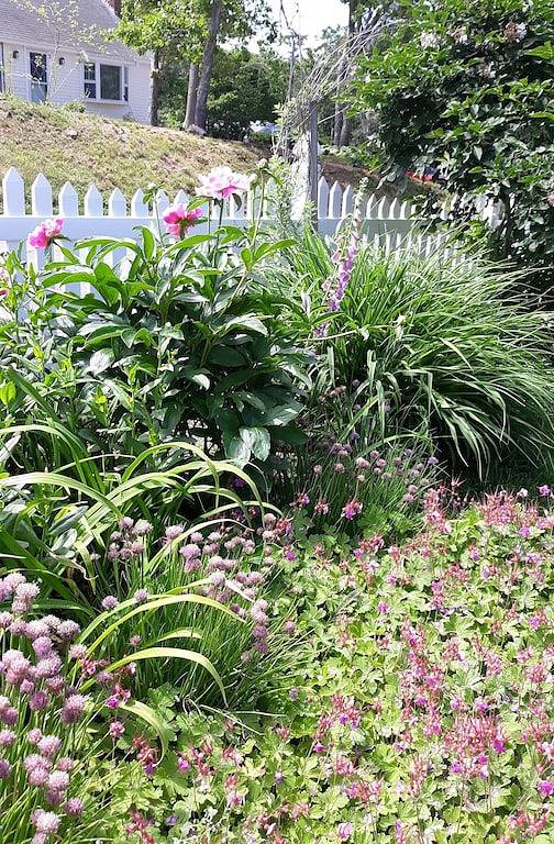 Ganze Wohnung, Gorgeous lake beachfront private apartment with canoe, kayaks, & home theatre in East Harwich, Harwich