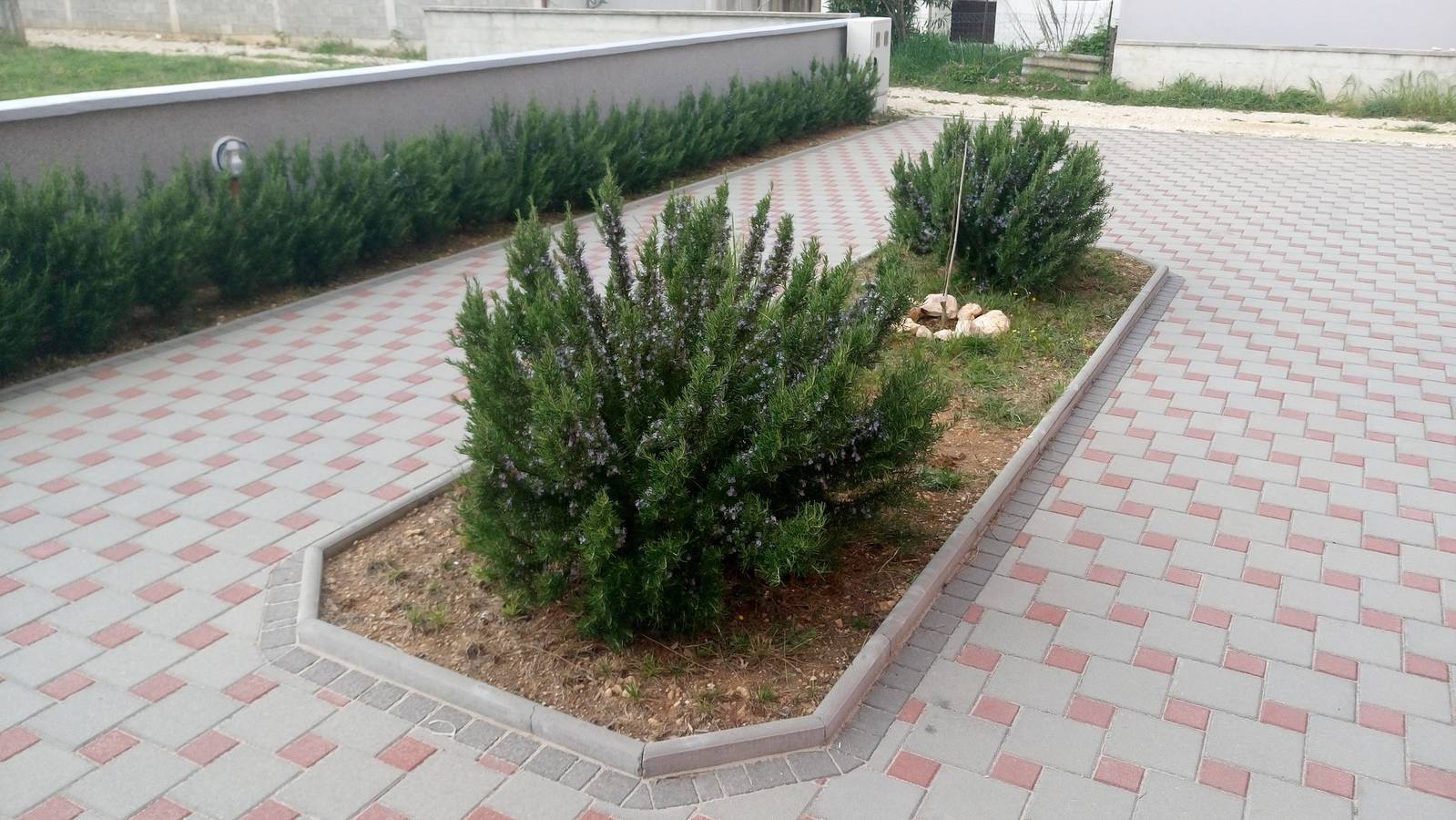 Entire apartment, Two bedroom apartment with terrace and sea view Privlaka, Zadar A-14465-b in Privlaka, Zadar