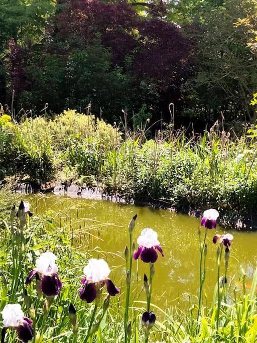 Maison de vacances pour 4 personnes, avec vue et jardin, animaux acceptés dans Val-d'Oise - 2