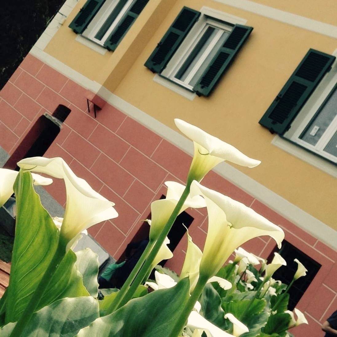 Bbq Lodge in Camogli, Riviera di Levante