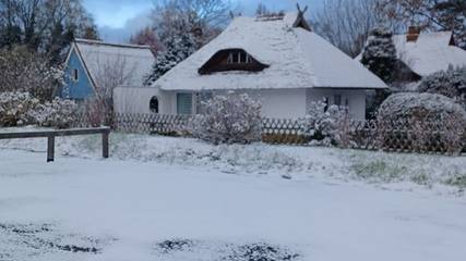 Ferienhaus für 2 Personen, mit Garten und Terrasse in Dierhagen