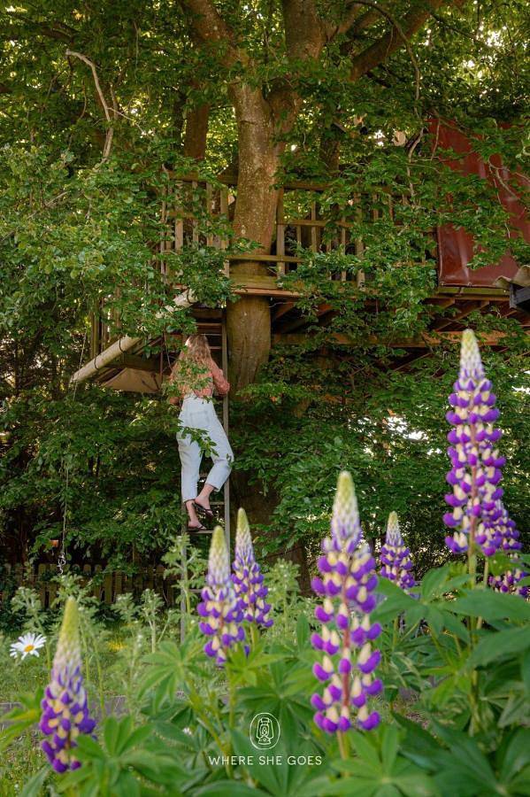 Camping für 4 Personen, mit Ausblick und Garten in Dänemark - 2