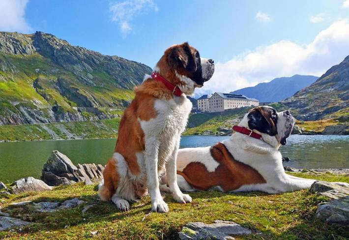 Location de vacances pour 20 personnes, avec vue à Orsières - 3