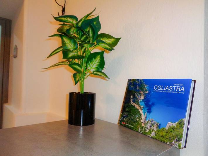 Gîte pour 3 personnes, avec jardin et vue à Loceri - 2