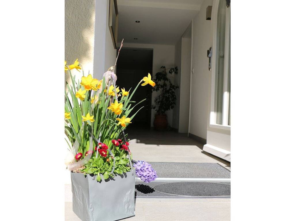 Ferienwohnung mit 1 Schlafzimmer in Konstanz, Landkreis Konstanz