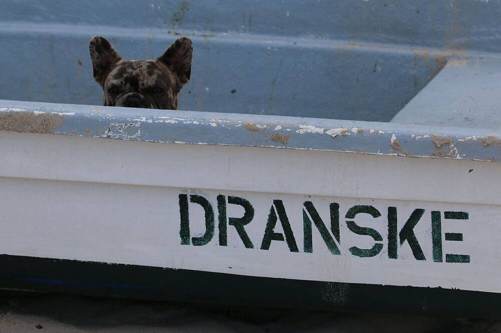 Direkt Am Ostseestrand, Bungalow für 5 Personen, Haustiere willkommen, Ostalgie in Kreptitz, Dranske