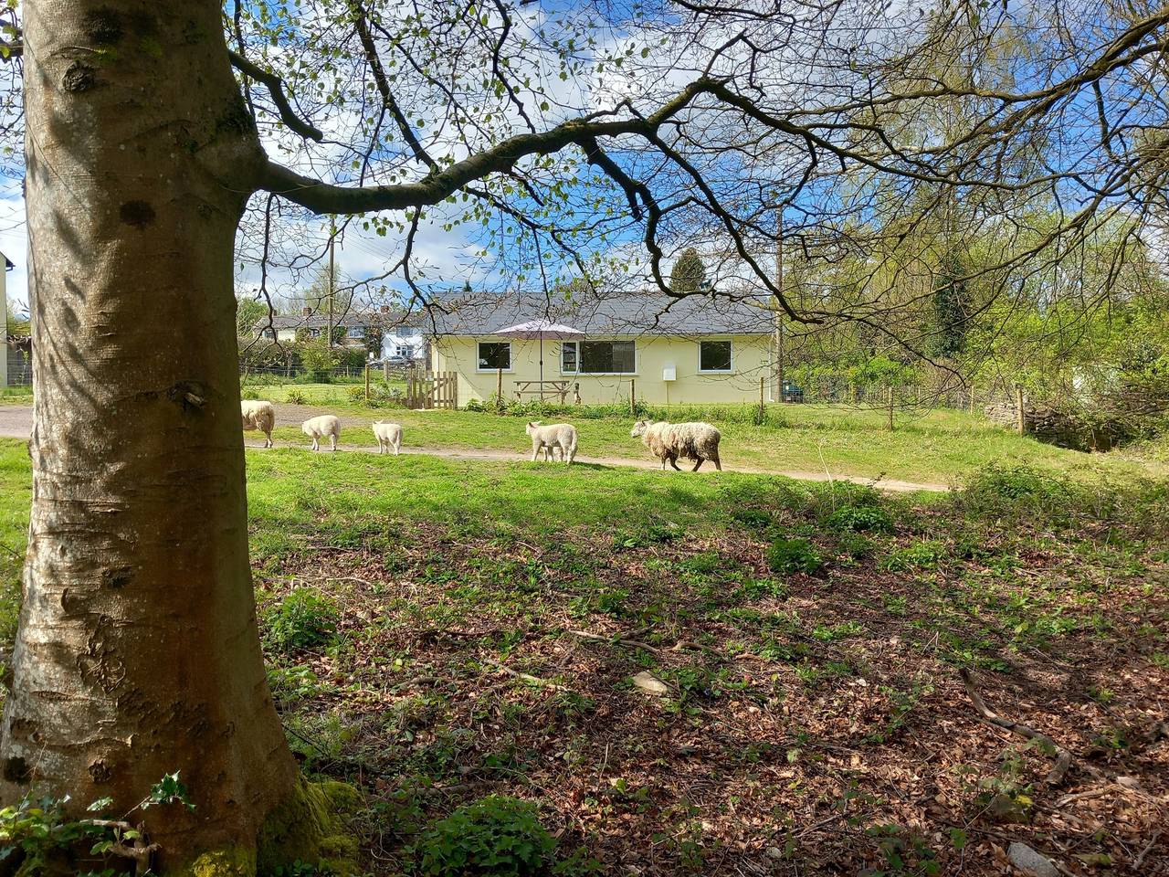 The Bungalow, Forest of Dean in Gloucestershire