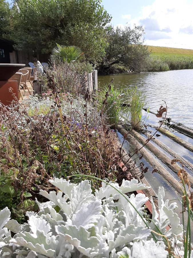 Maison d’hôte pour 2 personnes, avec terrasse aux Pays-Bas - 3