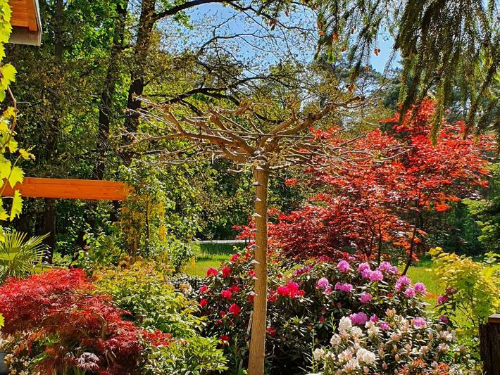 Ferienwohnung für 5 Personen, mit Terrasse und Garten sowie Pool in Lutherstadt Wittenberg und Umgebung - 2