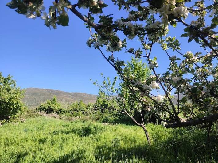 Location de vacances pour 3 personnes, avec terrasse et vue, animaux acceptés à Piedrahíta - 3