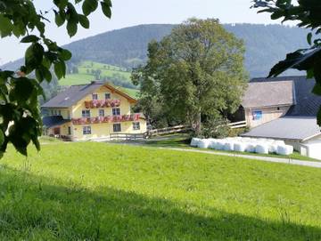 Bauernhof für 4 Personen in Steirerland, Oststeiermark, Bild 1