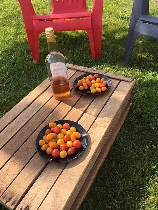 Gite A la croisée des Meuniers in Les Epesses, Vallée de la Loire