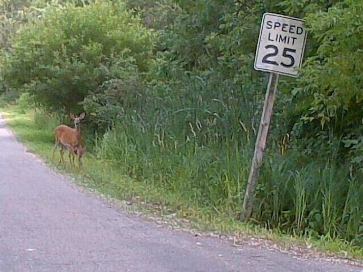 Log cabin for 6 people, with yard in Door County